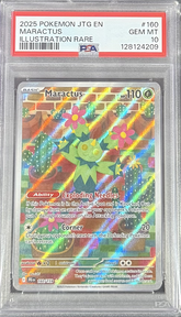 Maractus - Illustration Rare - 2025 Pokemon Journey Together - PSA 10